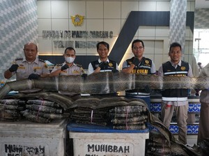 Perdagangan 846 Lembar Kulit Ular Ilegal ke Malaysia Digagalkan di Asahan