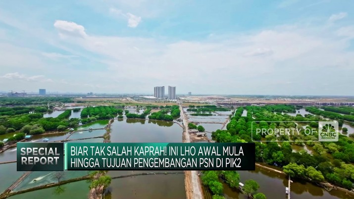Cerita di Balik Pengembangan PSN di PIK2