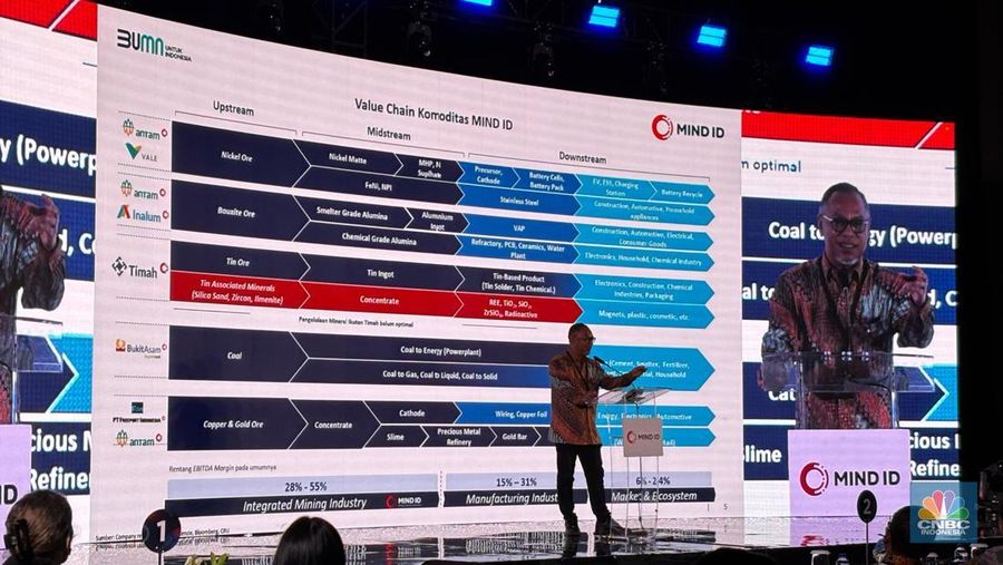 Direktur Portofolio dan Pengembangan Usaha MIND ID Dilo Seno Widagdo dalam MIND ID Commodities Outlook 2025 di Jakarta, Selasa (26/11/2024). (CNBC Indonesia/Firda Dwi Muliawati)