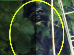 Melihat Lebih Jelas Sosok Seram Bertaring di Kuningan
