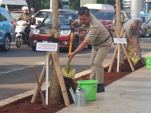 Pemprov DKI Tanam 137 Pohon di Rasuna Said: Untuk Estetika dan Penghijauan