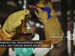Video: Swasembada Energi, Bahlil Siap Dorong Bahan Bakar Nabati
