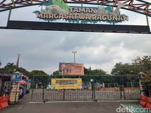 Jam Buka Ragunan saat Libur Pilkada 27 November 2024, Cek di Sini!