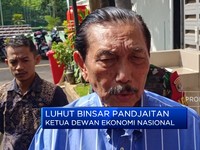 Video: Soal PPN 12%, Luhut: Hampir Dipastikan Mundur & Akan Ada Bansos