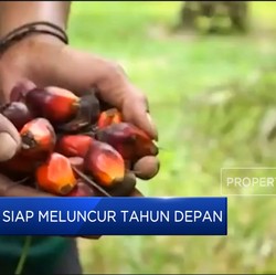 Video: B50 Impian 