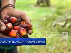 Video: B50 Impian "Prabowo" Siap Meluncur Tahun Depan
