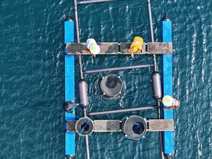 Idovin Aquaculture International Apresiasi Penelitian Fikom Unpad