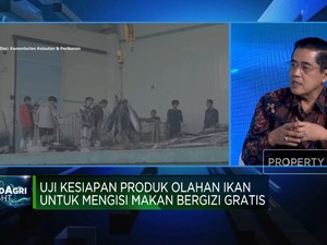 Video: KKP Dorong Warga RI Gemar Makan Ikan Lewat Program Makan Gratis