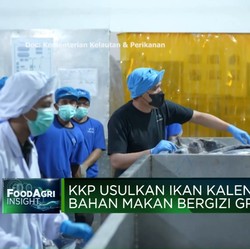 Video: KKP Usulkan Ikan Kaleng Jadi Bahan Makan Bergizi Gratis