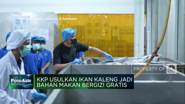 Video: KKP Usulkan Ikan Kaleng Jadi Bahan Makan Bergizi Gratis