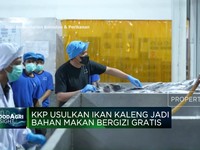 Video: KKP Usulkan Ikan Kaleng Jadi Bahan Makan Bergizi Gratis