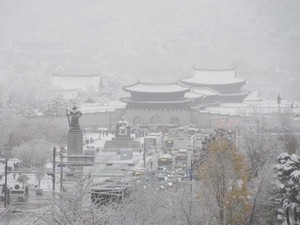 Hujan Salju di Seoul Pecahkan Rekor, Lumpuhkan Penerbangan-Penyeberangan