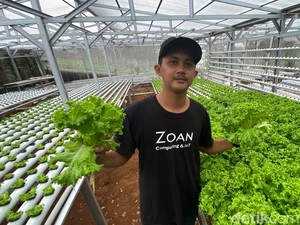 Pahit-Manis Aap Menjadi Petani Milenial