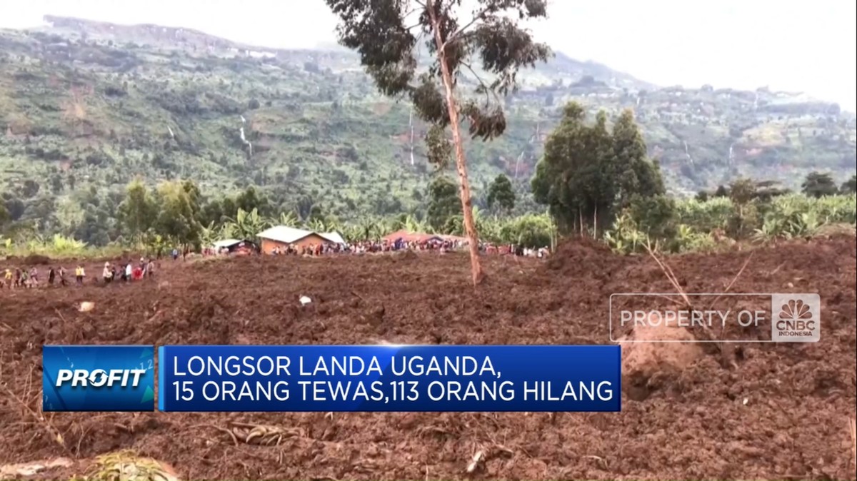 Tragedi Longsor di Uganda: 15 Nyawa Melayang dan 113 Orang Menghilang dalam Kejadian Mengerikan