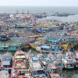 Ternyata 80% Produksi Ikan Laut di RI Didapat dari Para Nelayan Kecil