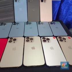 iPhone 16 Dilarang Dijual, Kadin Amerika Sindir Aturan TKDN