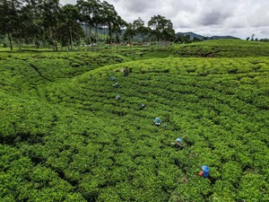 4 Wisata Murmer untuk Libur Lebaran di Kabupaten Bandung