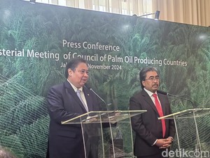 2 Negara Afrika Kepincut Susul RI-Malaysia Gabung Dewan Produsen Sawit Dunia