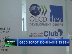 Video: OECD Soroti Dominasi BI di SBN