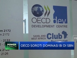 Video: OECD Soroti Dominasi BI di SBN