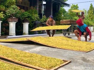 Petani Tembakau Minta Sri Mulyani Naikkan Dana Bagi Hasil CHT Jadi 10%