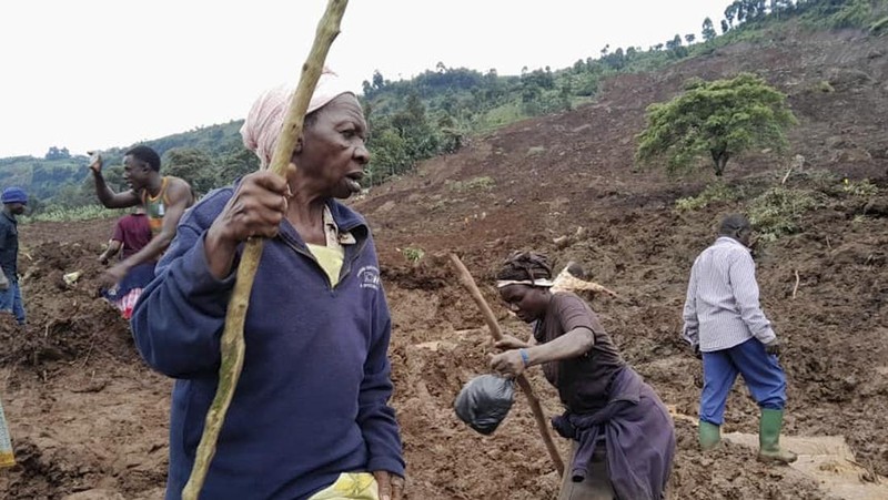 Members of Uganda Red Cross Society (URCS) team work in collaboration with local authorities and community members after a landslide triggered by heavy rains, in Bulambuli District, Uganda, November 28, 2024. Uganda Red Cross Society/Handout via REUTERS    THIS IMAGE HAS BEEN SUPPLIED BY A THIRD PARTY. NO RESALES. NO ARCHIVES