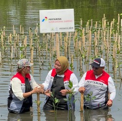 Jaga Pesisir, Pertamina International Shipping Tanam 10.000 Mangrove