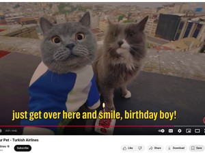 Lucu Banget Iklan Ramah Hewan dari Turkish Airlines, Dibintangi Kucing