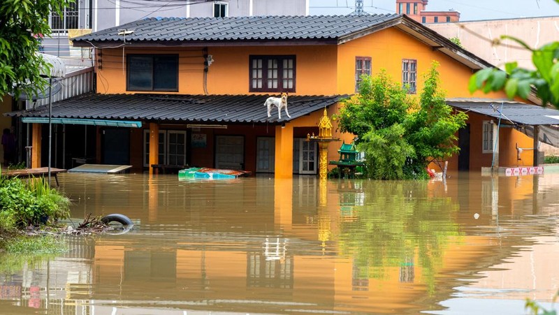 Pemandangan drone menunjukkan daerah yang terendam banjir di distrik Hat Yai, provinsi Songkhla, Thailand, 30 November 2024. (REUTERS/Roylee Suriyaworakul)