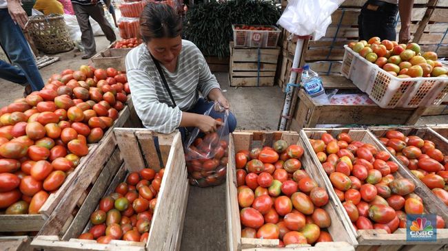 5 Tanda Keracunan Bakteri Salmonella dari Tomat dan Mentimun