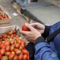 Pekerja memilah buah tomat yang baru tiba dari Sukabumi, Jawa Barat di Pasar Kramat Jati, Jakarta, Senin (2/12/2024). (CNBC Indonesia/Tri Susilo)