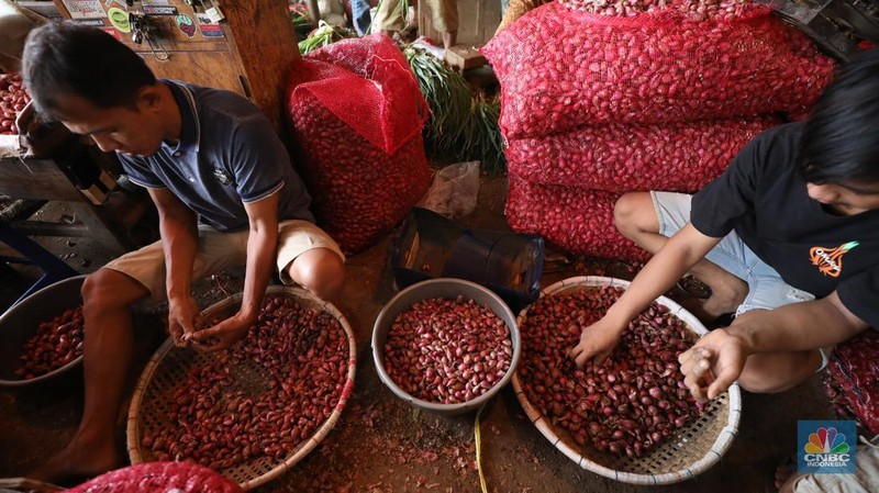 Pekerja menyortir bawang merah yang baru tiba dari Brebes, Jawa Tengah di Pasar Kramat Jati, Jakarta, Senin (2/12/2024). (CNBC Indonesia/Tri Susilo)