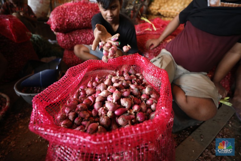 Pekerja menyortir bawang merah yang baru tiba dari Brebes, Jawa Tengah di Pasar Kramat Jati, Jakarta, Senin (2/12/2024). (CNBC Indonesia/Tri Susilo)