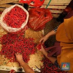 Harga Cabai Merah Kriting di Pasar Kramat Jati Makin Pedas