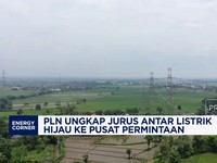 Video: PLN Ungkap Jurus Antar Listrik Hijau ke Pusat Permintaan