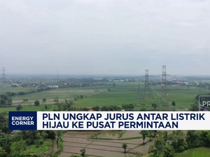 Video: PLN Ungkap Jurus Antar Listrik Hijau ke Pusat Permintaan