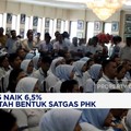 Video: UMP 2025 Naik 6,5%, Pemerintah Bentuk Satgas PHK