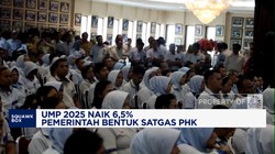 Video: UMP 2025 Naik 6,5%, Pemerintah Bentuk Satgas PHK