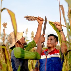Kilang Pertamina Internasional Fokus Perkuat Aspek Lingkungan