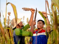 Kilang Pertamina Internasional Fokus Perkuat Aspek Lingkungan