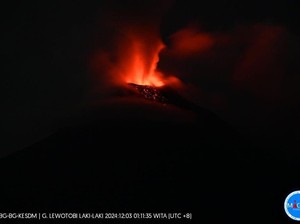 Gunung Lewotobi Laki-laki Erupsi Lagi, Disertai Gemuruh Sedang dan Kuat