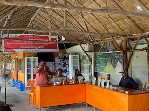 Aksi Warga Pasar Rawa Sumut Budi Daya Mangrove Jadi Sumber Mata Pencarian