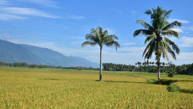 RUU Pangan: No Farmer, No Food, No Future
