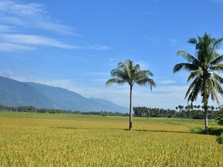 RUU Pangan: No Farmer, No Food, No Future