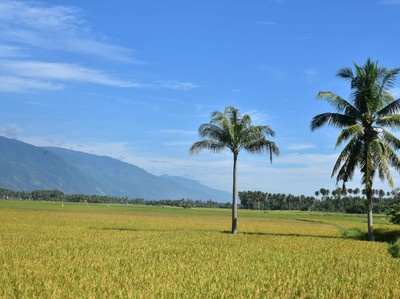 RUU Pangan: No Farmer, No Food, No Future