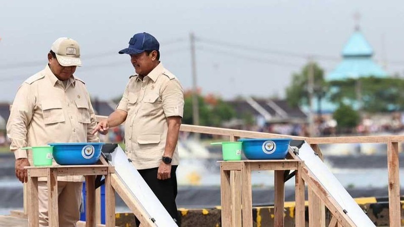 Presiden Prabowo Subianto meninjau Tambak Budidaya Ikan Nila di BLUPPB, Karawang bersama dengan Kementerian Kelautan dan Perikanan. (Instagram @prabowo)