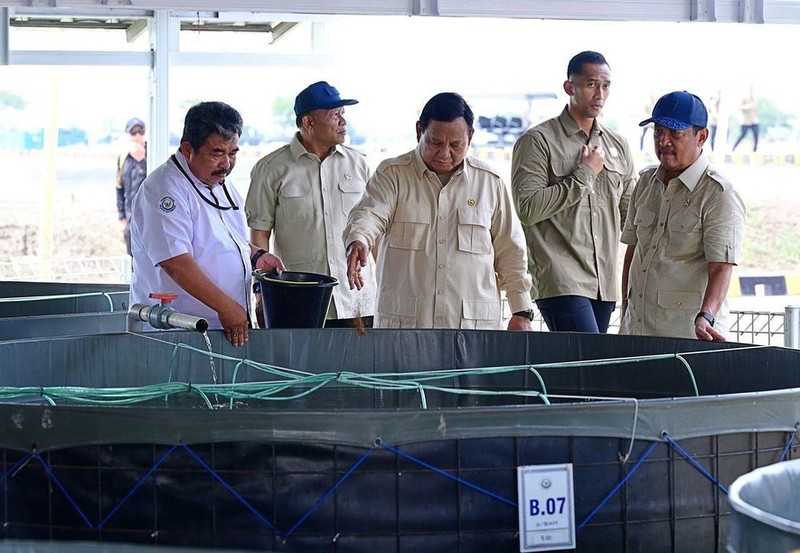 Presiden Prabowo Subianto meninjau Tambak Budidaya Ikan Nila di BLUPPB, Karawang bersama dengan Kementerian Kelautan dan Perikanan. Presiden Prabowo Subianto meninjau Tambak Budidaya Ikan Nila di BLUPPB, Karawang bersama dengan Kementerian Kelautan dan Perikanan. (Instagram @prabowo)