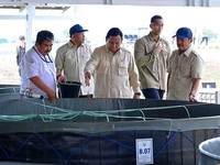 Prabowo & Trenggono Blusukan Cek Tambak Raksasa Ikan Nila di Karawang