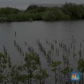 Siap-siap, Bakal Ada Ribuan Pekerjaan Efek PSN Tropical Coastland