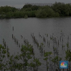 Siap-siap, Bakal Ada Ribuan Pekerjaan Efek PSN Tropical Coastland